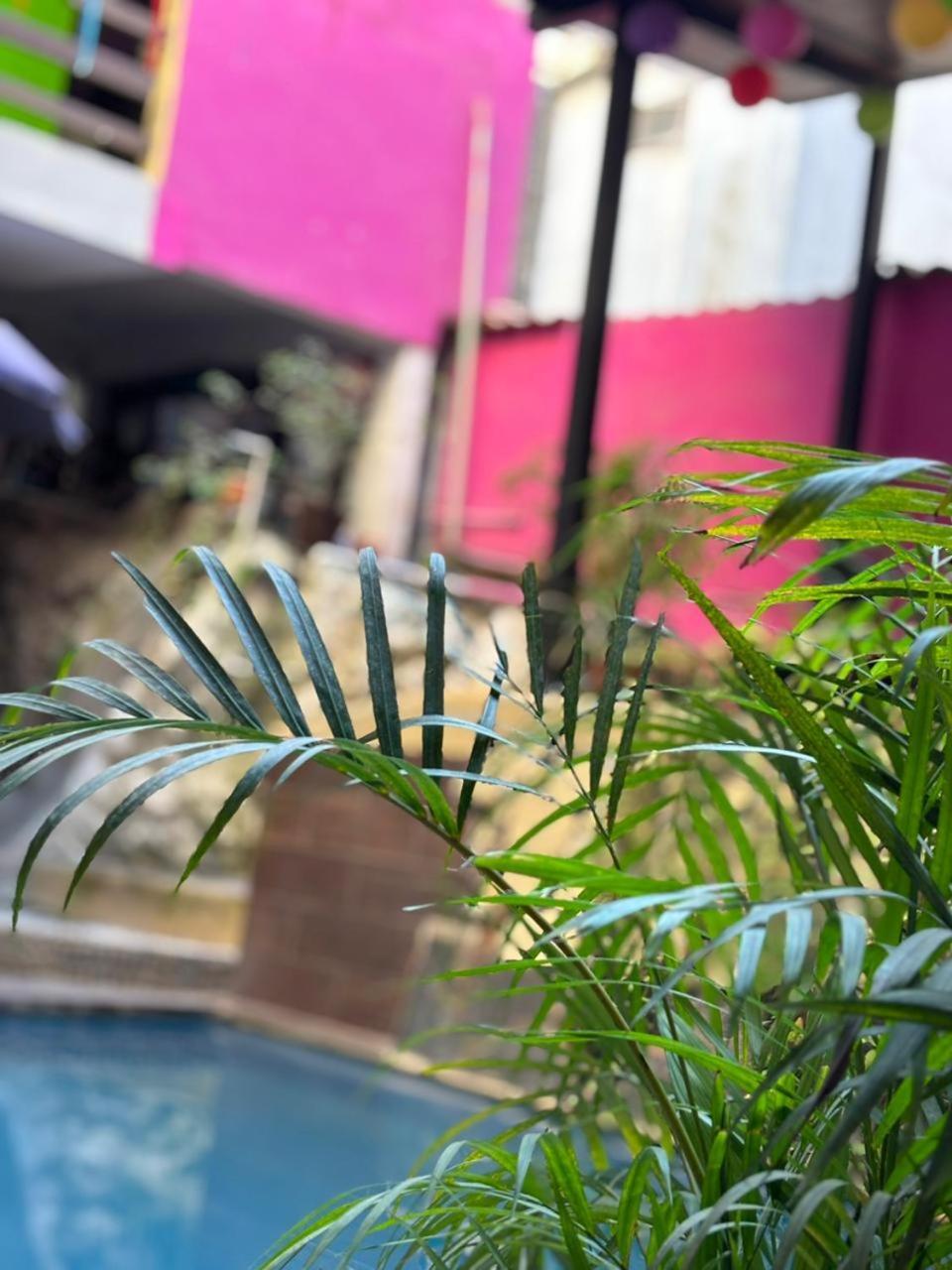 Hotel Playa Sayulita Zewnętrze zdjęcie