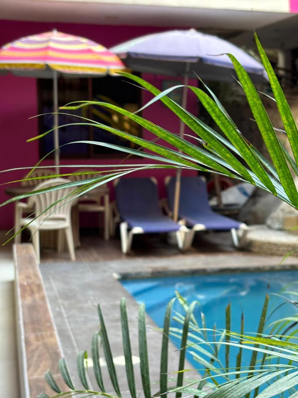 Hotel Playa Sayulita Zewnętrze zdjęcie