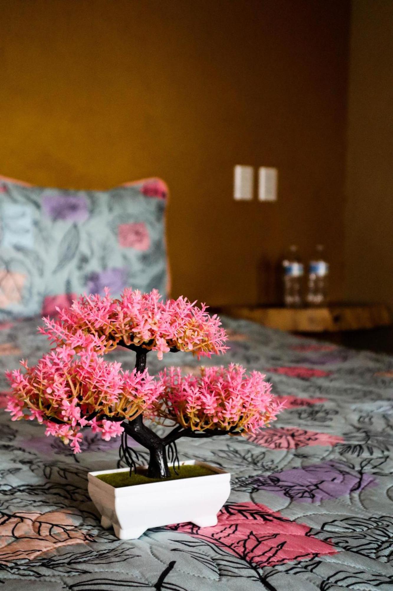Hotel Playa Sayulita Zewnętrze zdjęcie